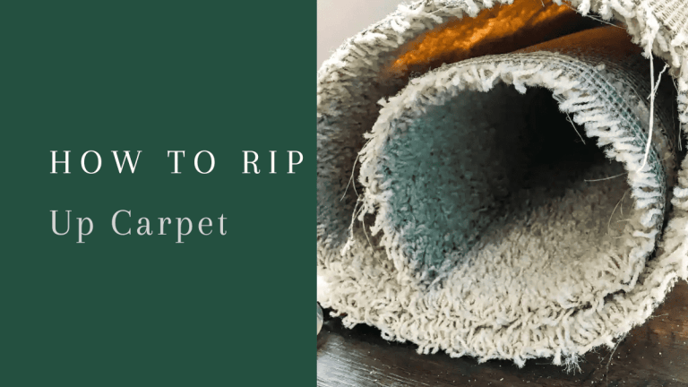 how to rip up carpet