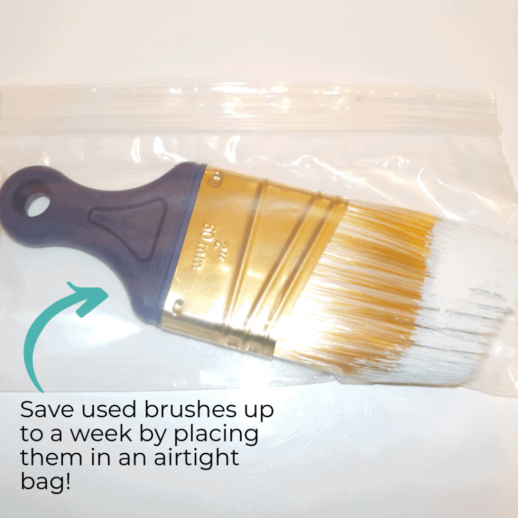 paintbrush tip