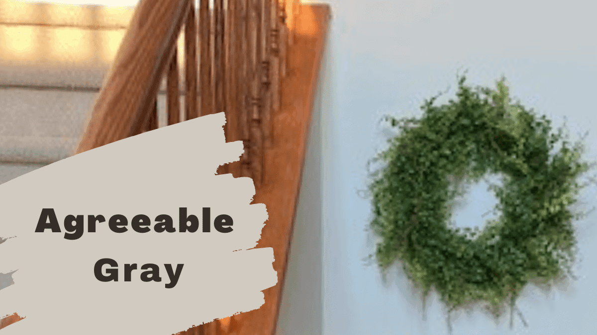 Here is Why Agreeable Gray Looks Great in Any Room