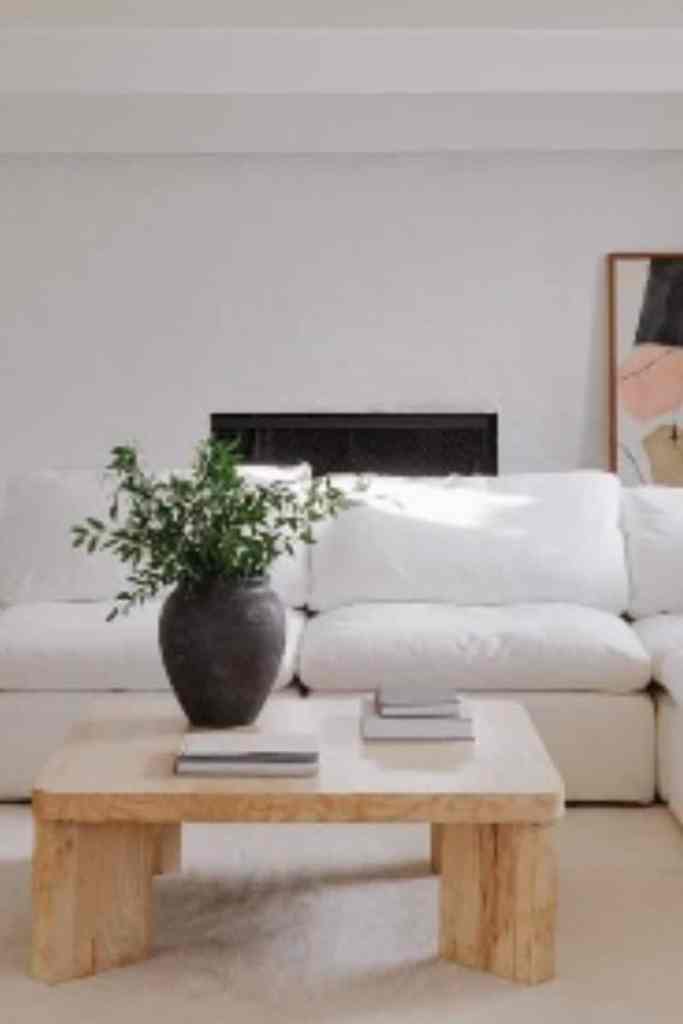 mod minimalist living room