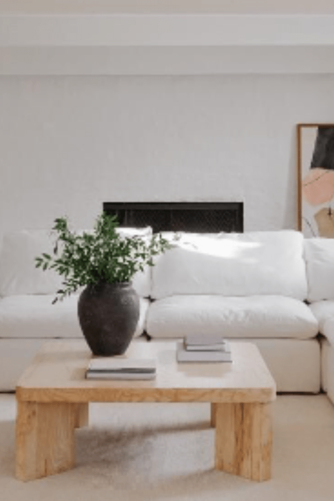 mod minimalist living room