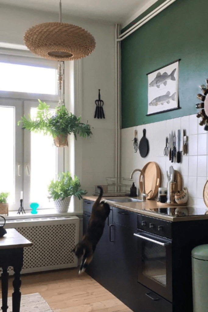green kitchen walls