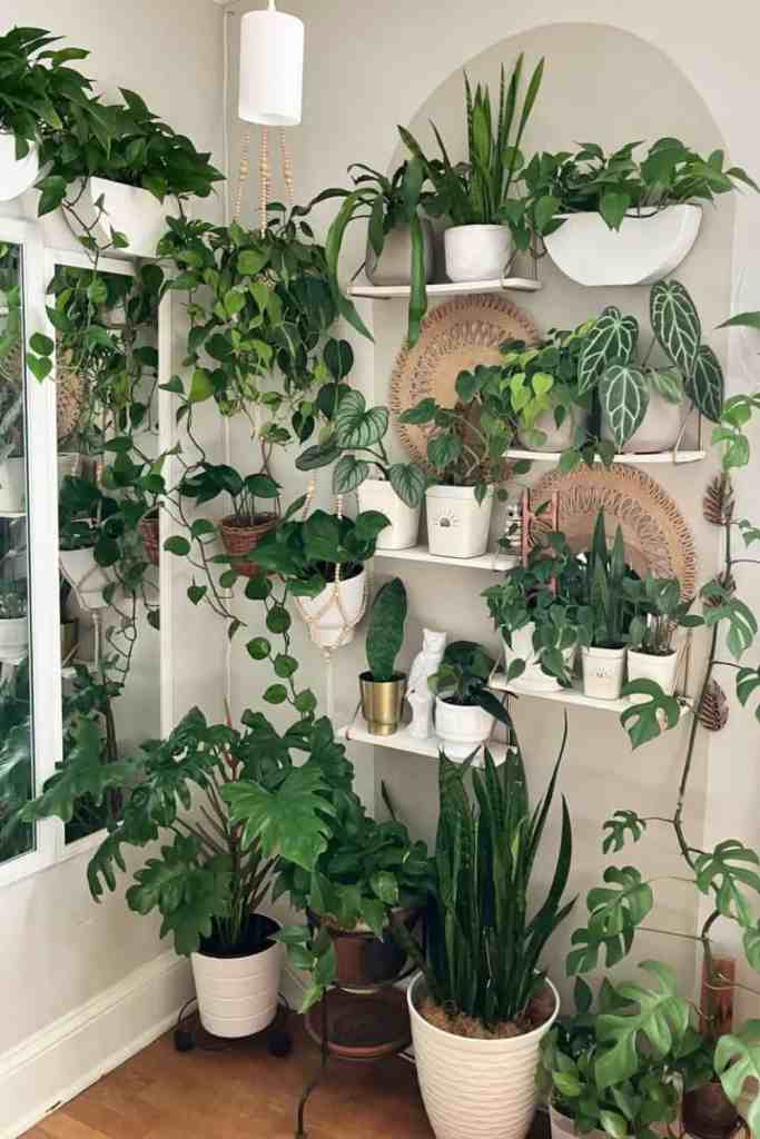 living room plant walls