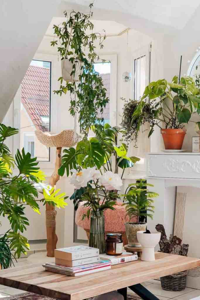 living room plant walls
