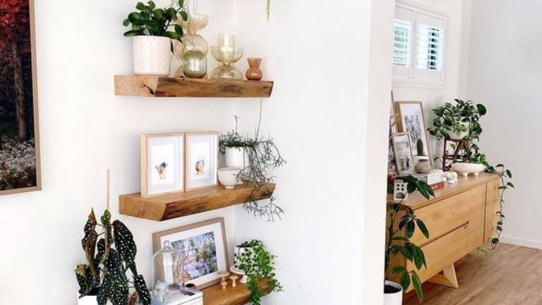 living room plant wall shelving