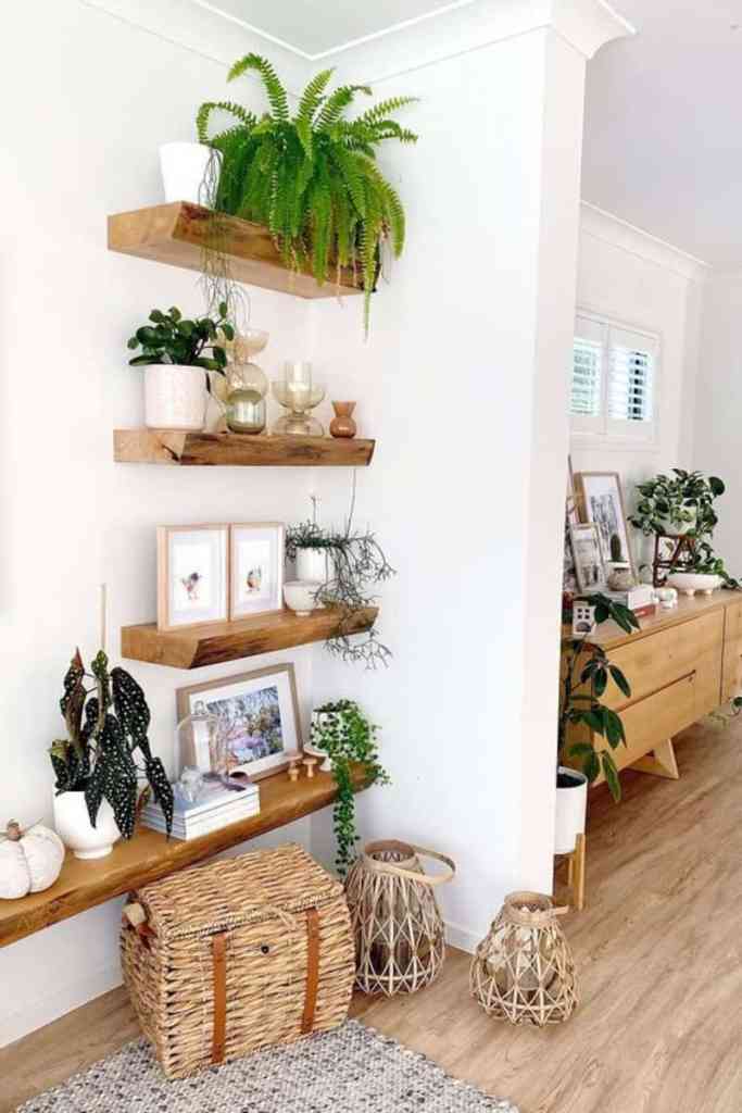 plant wall ideas