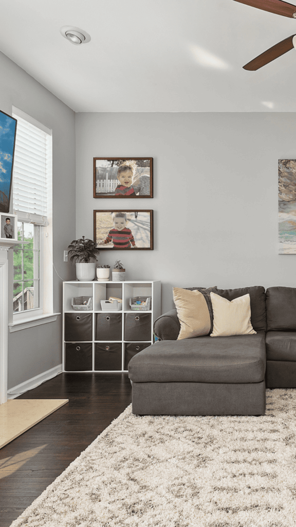 natural gray paint color