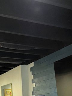Paint Basement Ceiling Black