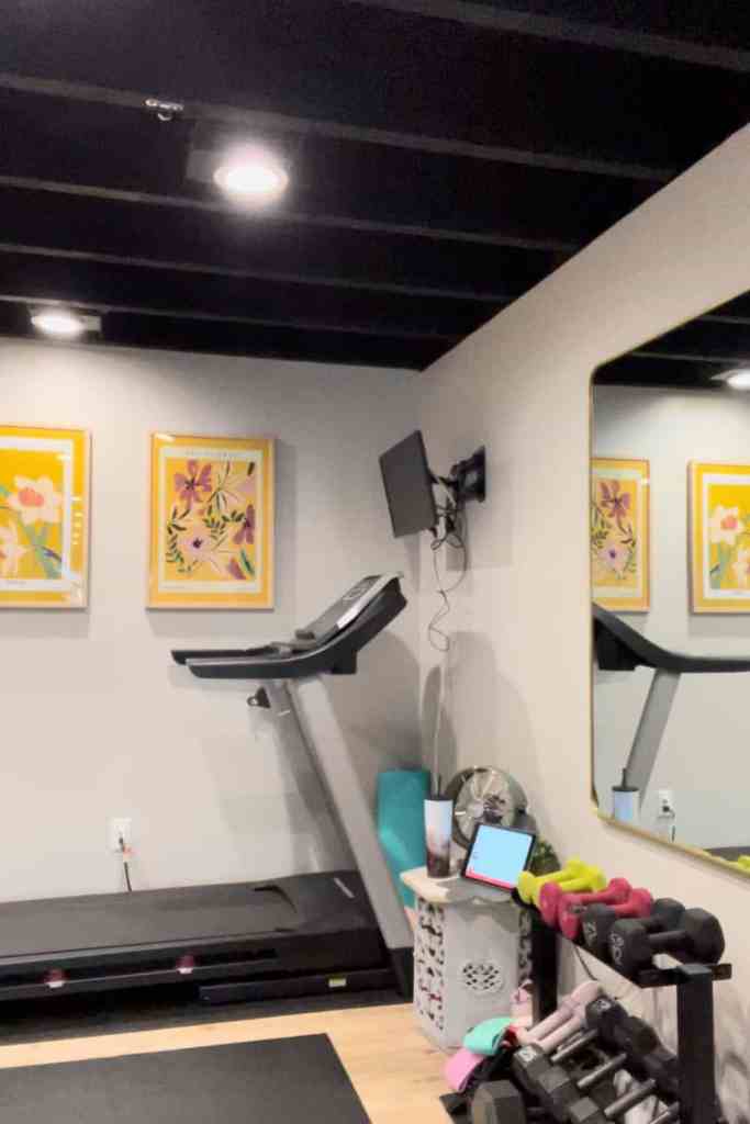 Paint Basement Ceiling Black