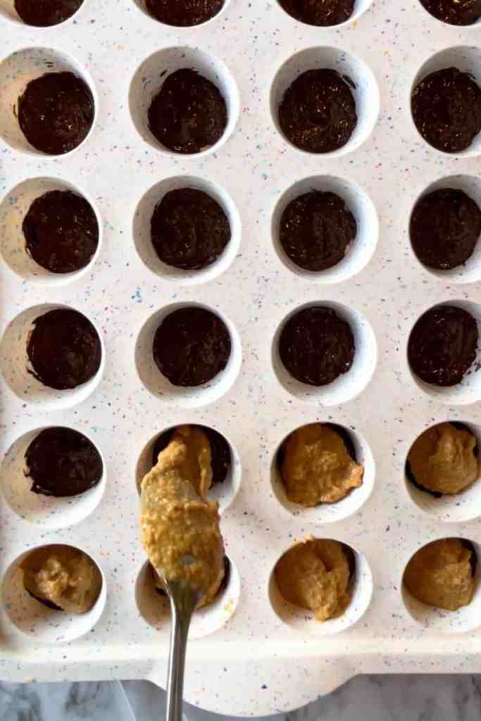 pb fit treats