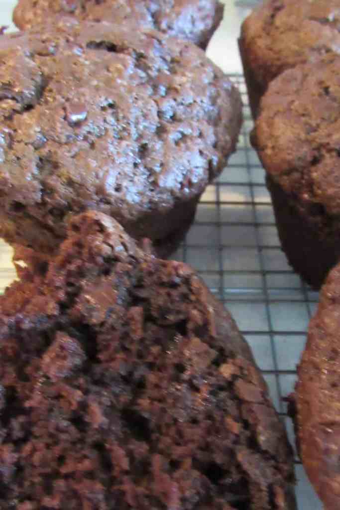 velvety double chocolate muffins