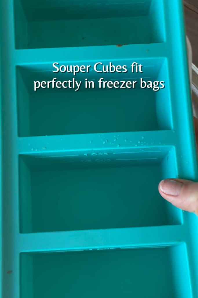 freezing food tips